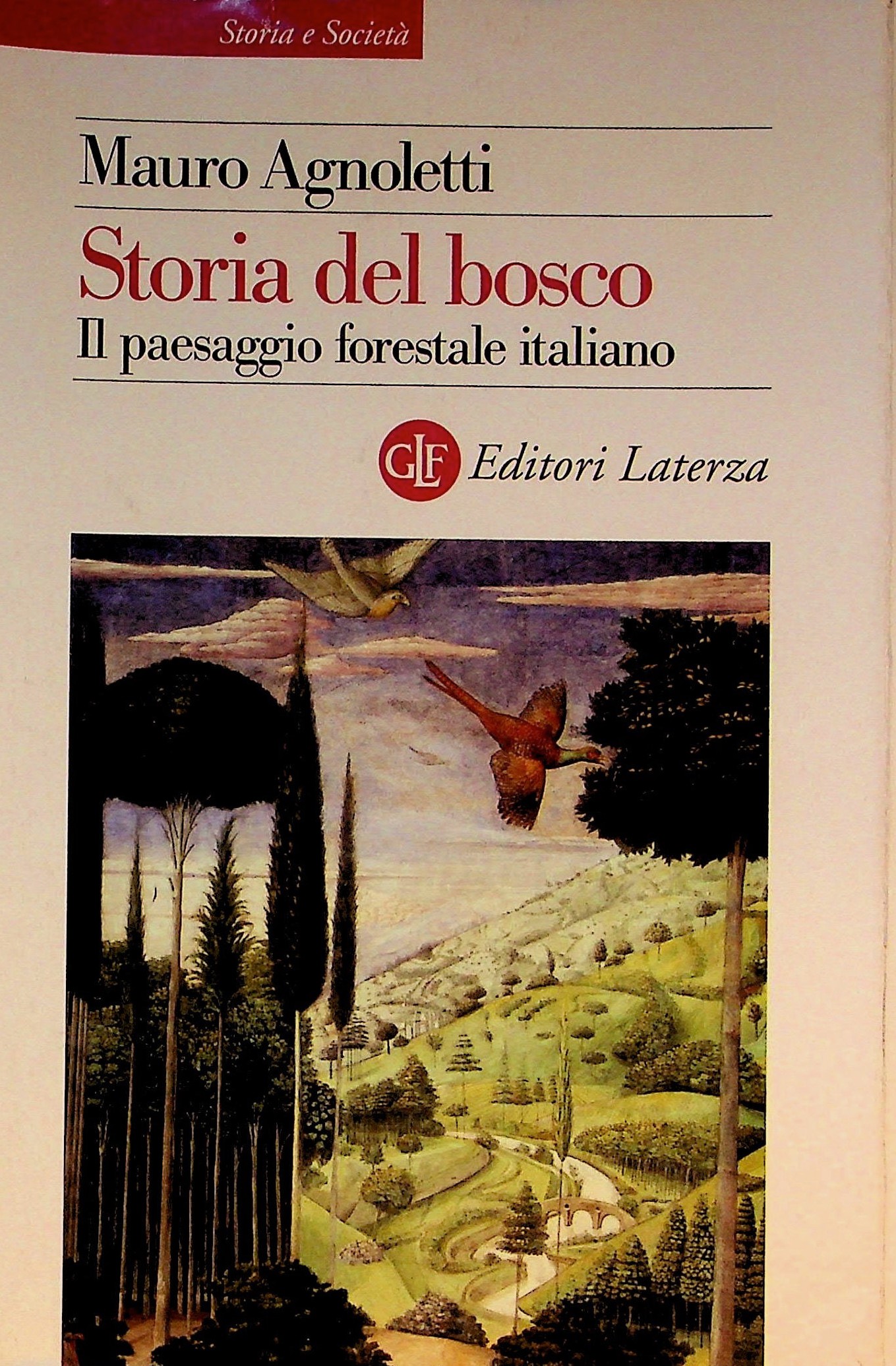 Storia del bosco-copertina