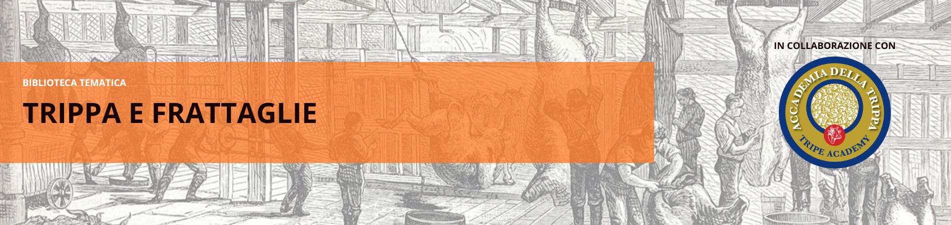 Biblioteca tematica trippa e frattaglie