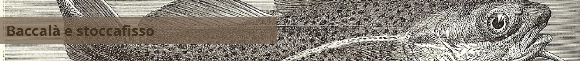 Banner Baccalà e stoccafisso