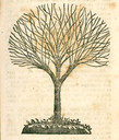 1863
