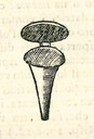 1886